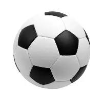 定南迎来中,英足球文化,交流团访问,WM完美真人视讯,WM完美真人平台,WM完美真人官网,WM完美真人官网app