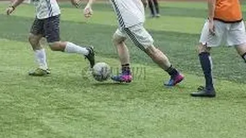 WM完美真人平台 资讯 110826 6q6