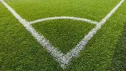 WM完美真人平台