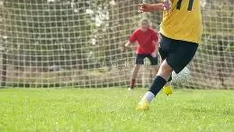 WM完美真人平台 资讯 133606 sov