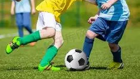 WM完美真人平台 资讯 132208 dky