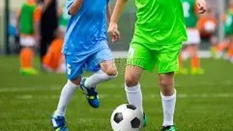 WM完美真人平台 产品 110502 0sy