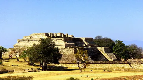 WM完美真人平台 产品 104748 jsh