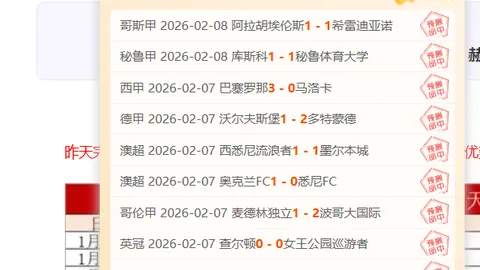 西班牙队客场屡败荷兰队战绩不佳